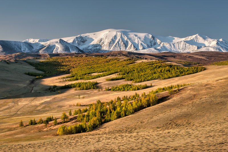 Картинки бай тайга