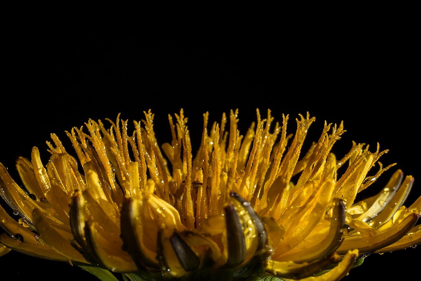 "Украине нужно больше прозрачности, меньше коррупции и лучший бизнес-климат", - поверенная США Квин - Цензор.НЕТ 2902