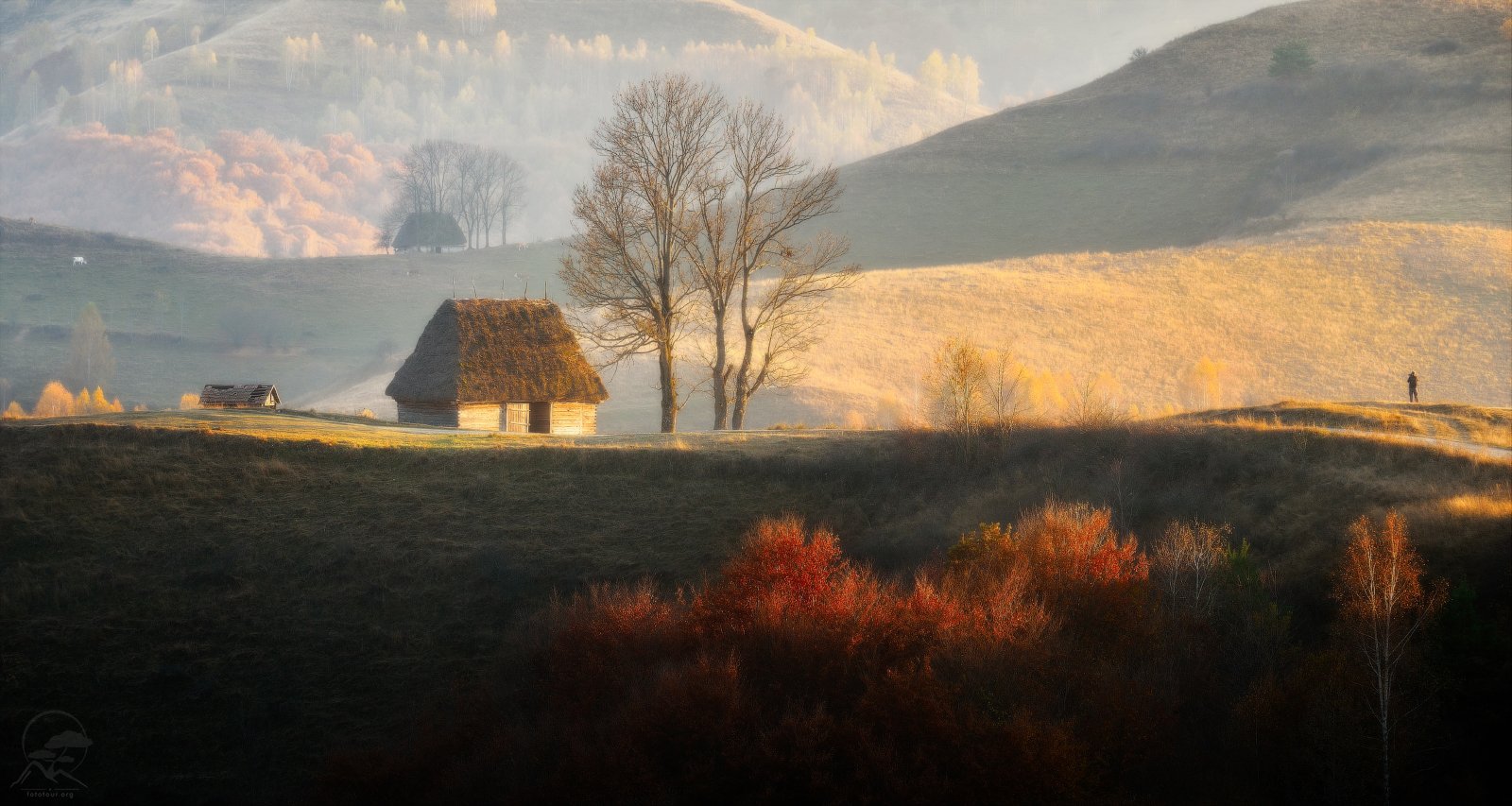 карпаты румыния