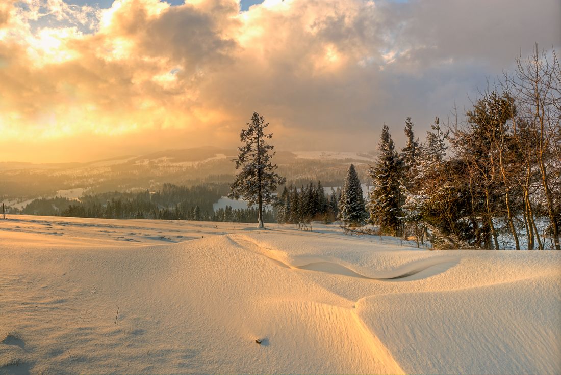 Пейзаж зимы. Зимний пейзаж. Снежная Поляна. Пейзаж зимой. Самая красивая зима.