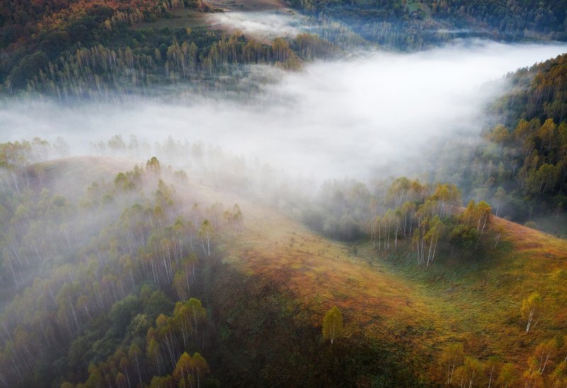 Misty River