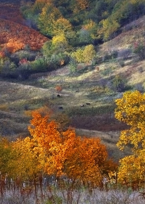 Осень в горах Гуниб