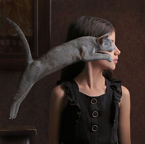 Iris & Blinchik