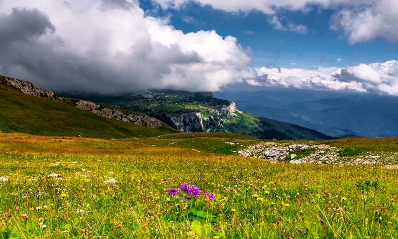 Плато Лаго Наки Адыгея осень