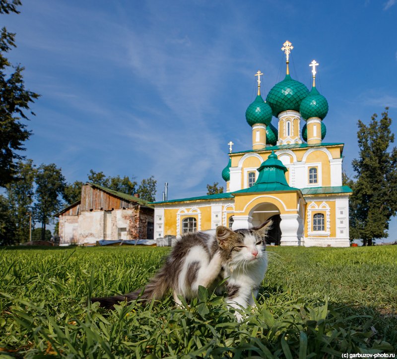 Алексеевский монастырь, Углич.