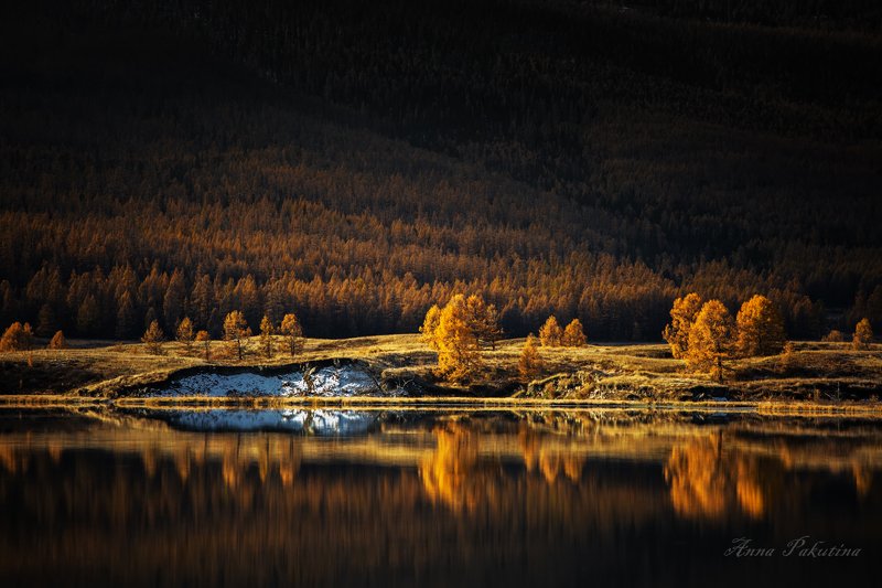 Волшебное отражение на озере Джангысколь, Алтай