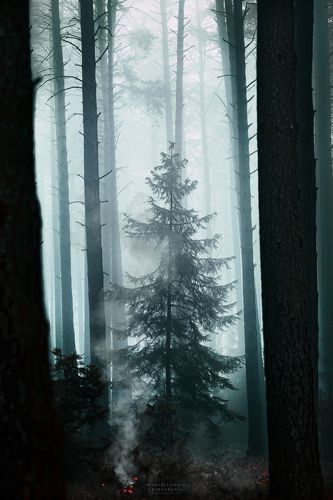 ...in smoke, shadows and mist...