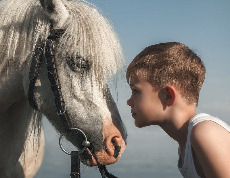 Маленький принц и его маленькая белая лошадь