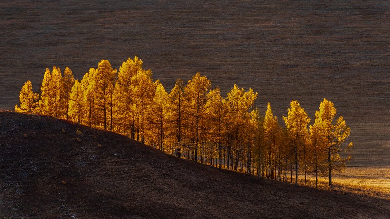 Осенний закат, Алтайский край.