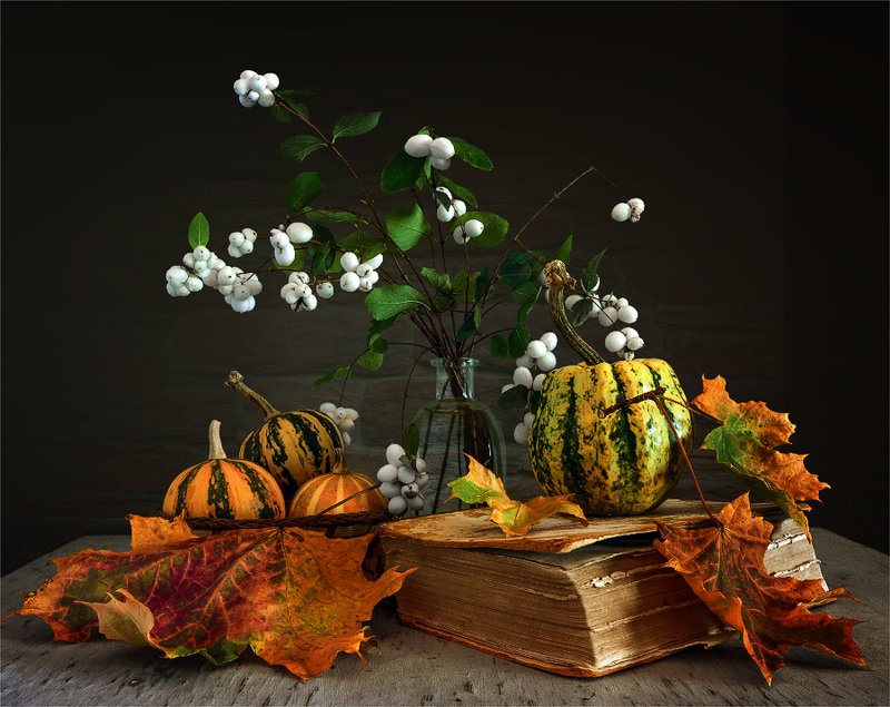 натюрморт с книгой, снежноягодником, тыквой и осенними листьями