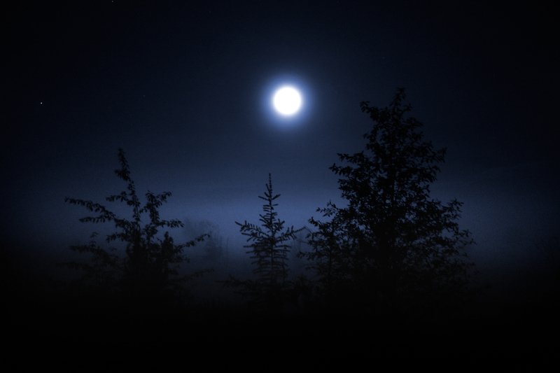Ночь, глушь, луна, туман...