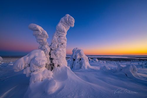 Зимняя Лапландия.