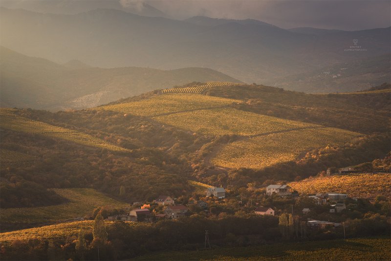 Виноградная долина