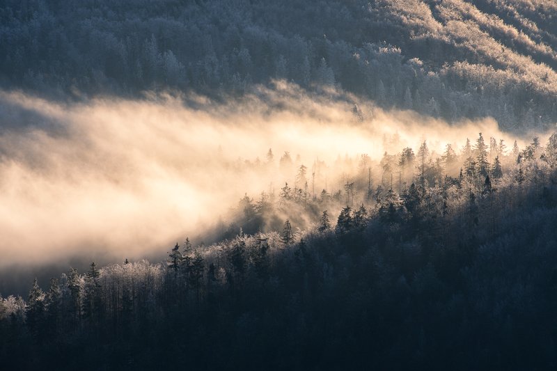 Morning light in Beskidy mountains