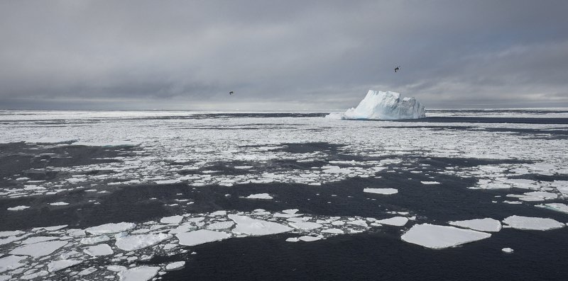 Во льдах Антарктики