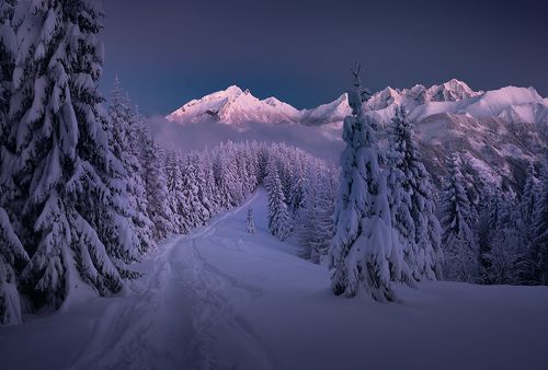 Winter in Tatra Mountains