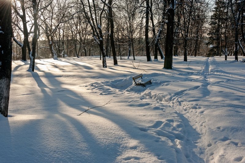 В парке после снегопада