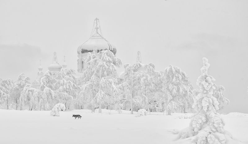 Зима в Белогорье
