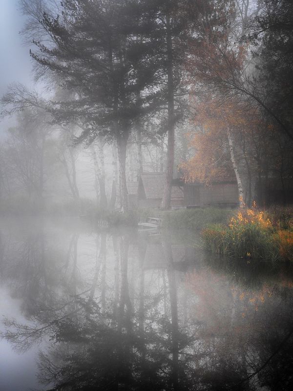 Foggy lakeland