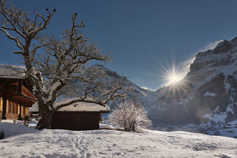 Альпийская Зима