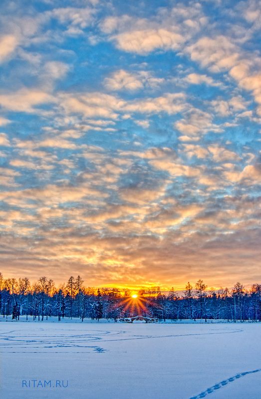 Гатчинский парк - зимний закат / Gatchina Park - Winter Sunset