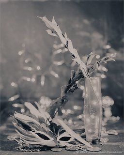 Still life....
