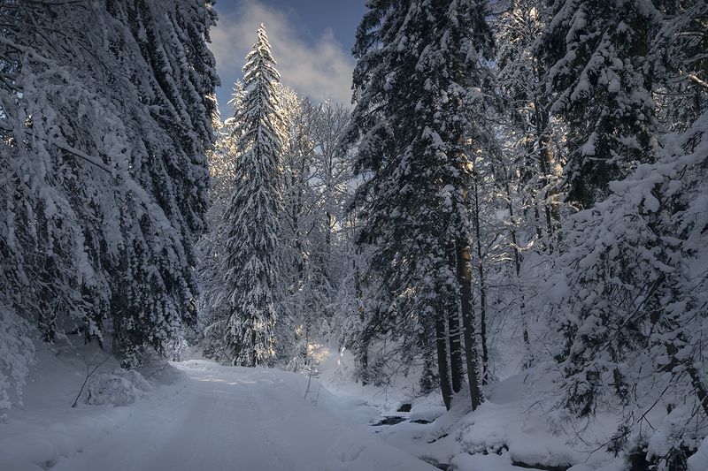 Winter trail in the Beskids
