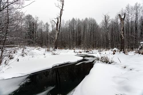 Сергей Сергеев фотограф Ермишь