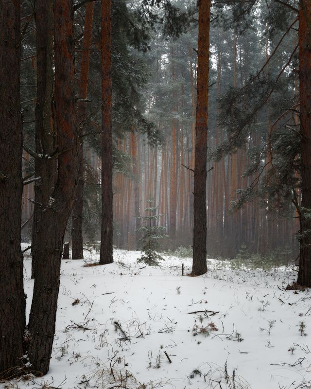 Сергей Сергеев фотограф Ермишь