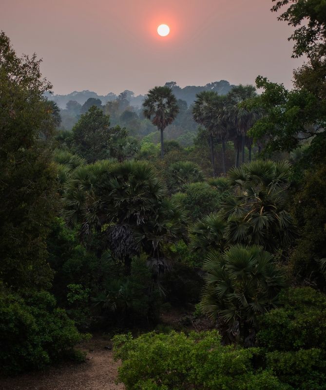 Закат в джунглях Камбоджи.