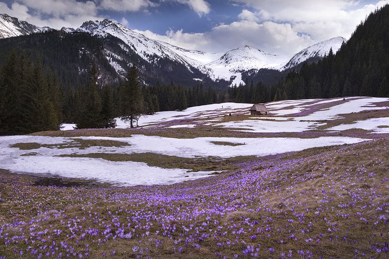 Spring in the Tatras