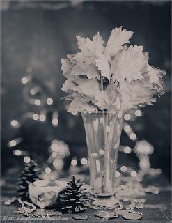 Autumn b/w