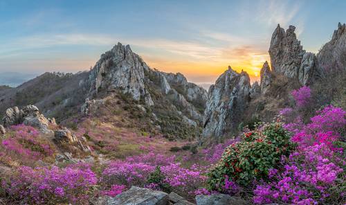 Blooming Time, Deokryongsan