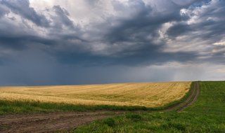 Формы бесконечности