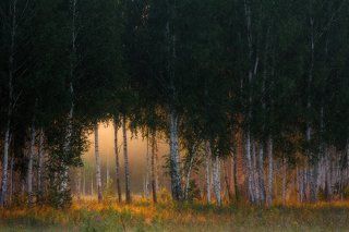 Просвет
