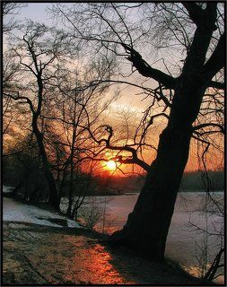 Закат в парке