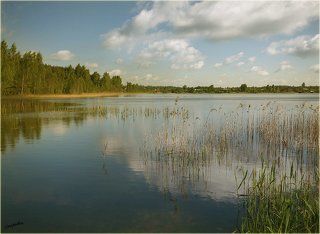 Озеро Белое