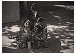 Про любовь