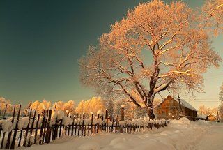 В деревне вечереет... Питерская губерния.