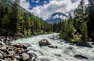быстрая Кучерла