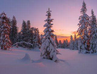 В объятиях зимы