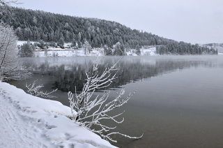 полдень