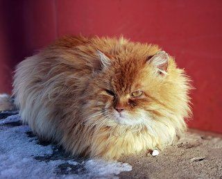Клубочек