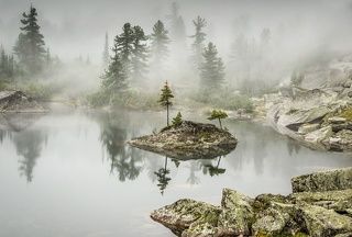 туманным утром