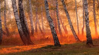 Воспоминания о весне