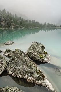 застывшие в изумрудной воде