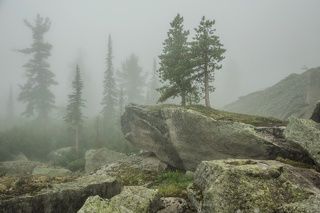 две сестры
