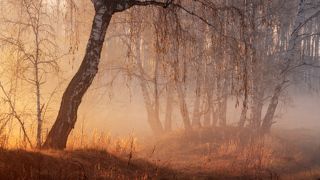 Весенняя бижутерия
