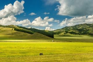 Алтайский простор