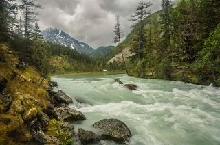 бурные будни бурлящей реки
